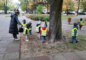 Dzieci zbierają kasztany w parku